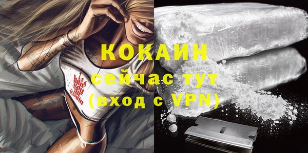 скорость Туринск