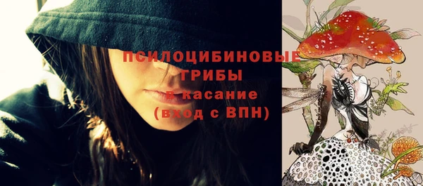 скорость Туринск