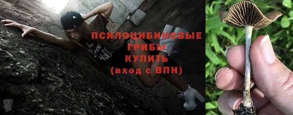 прущая мука Тында