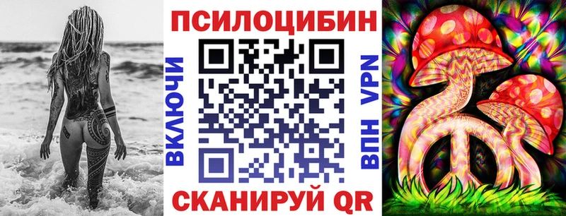 Купить закладки  Каневская  Псилоцибиновые грибы мухоморы 